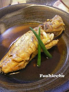 ミノカサゴの煮つけ✿-レシピのメイン写真