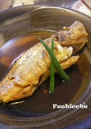 ミノカサゴの煮つけ✿-レシピのメイン写真