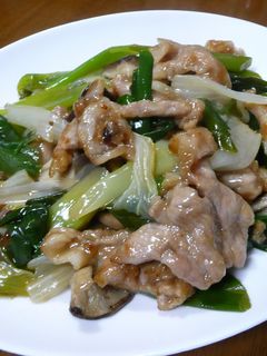 豚肉とネギの炒め物-レシピのメイン写真