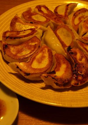 フードプロセッサーＤＥ手作り餃子-レシピのメイン写真