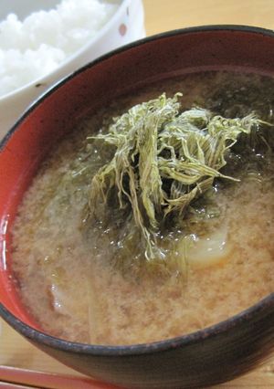 とろろ昆布のせキャベツと豆腐のお味噌汁-レシピのメイン写真