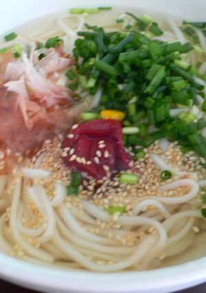 梅干しうどん-レシピのメイン写真