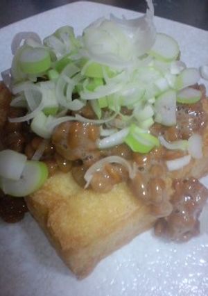 ☆厚揚げ＆納豆☆-レシピのメイン写真