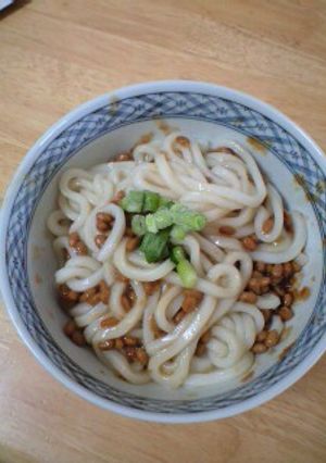 母直伝!簡単ランチ☆納豆ひっぱりうどん-レシピのメイン写真
