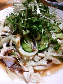 イカのさっぱりサラダ-レシピのメイン写真