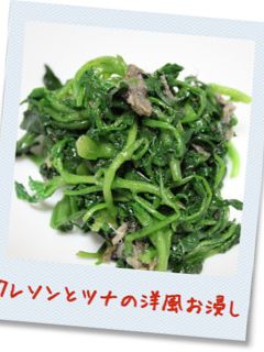 クレソンとツナの洋風お浸し-レシピのメイン写真