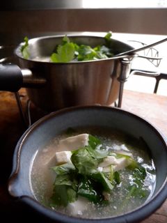 簡単♪たらこ豆腐-レシピのメイン写真