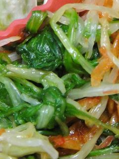 水菜と桜えびのおひたし【お弁当/赤・緑】-レシピのメイン写真