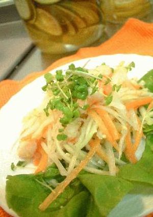 ソムタム～青いパパイアのサラダ-レシピのメイン写真