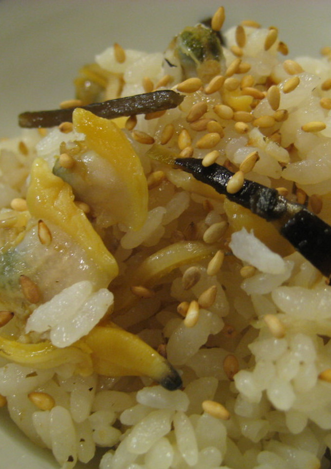 あさりとこんぶの炊き込みご飯-レシピのメイン写真