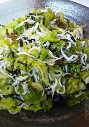 花椒塩で♪海苔レタスしらすのサラダ-レシピのメイン写真