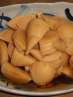 たけのこ煮-レシピのメイン写真