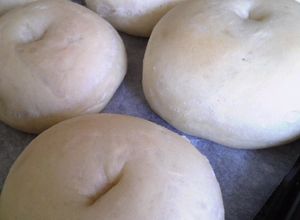 ハルユタカでふっくらもちもちベーグル-レシピのメイン写真