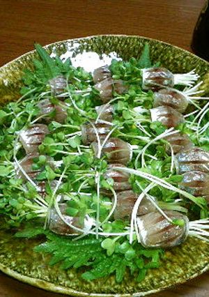 釣り師の鯵三々〆-レシピのメイン写真