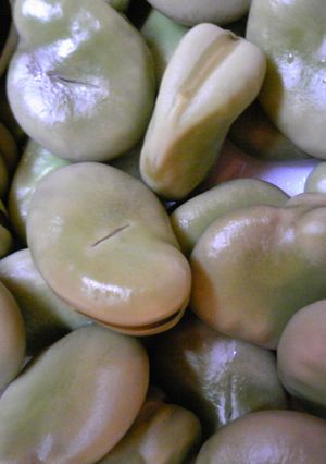 そら豆茹でたあとシワにならない方法♪-レシピのメイン写真