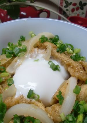 焼肉味のきつね丼-レシピのメイン写真