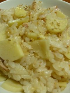 ツナと筍の炊き込みご飯-レシピのメイン写真