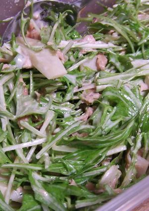 たけのこと水菜のサラダ-レシピのメイン写真