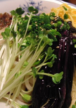 梅ペーストのっけ冷やしうどん-レシピのメイン写真
