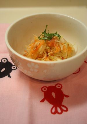 キャベツと梅の和サラダ-レシピのメイン写真