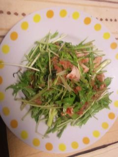 鶏ささみのさっぱりサラダ-レシピのメイン写真