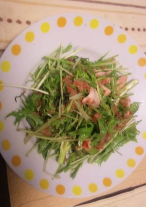 鶏ささみのさっぱりサラダ-レシピのメイン写真
