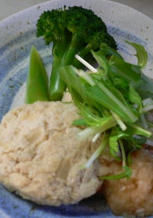 お豆腐とおからのハンバーグ-レシピのメイン写真