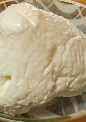 ペットボトルで水切りヨーグルト-レシピのメイン写真