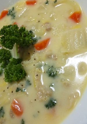 豚肉の野菜たっぷりミルクスープ-レシピのメイン写真