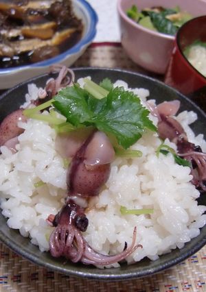 ほたるいかの春色ご飯♪-レシピのメイン写真