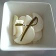 梅酒にしませんか。のお漬物