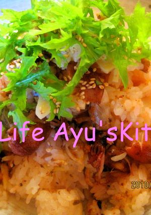 ホタルイカの炊き込みご飯-レシピのメイン写真