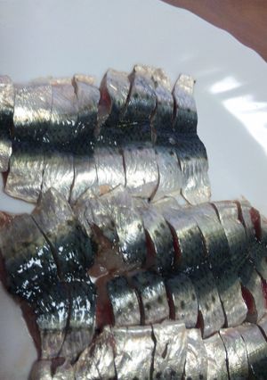 刺身用いわしの開き方☆昆布〆-レシピのメイン写真
