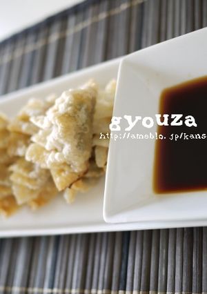 和食☆ネギ納豆の揚げ餃子☆-レシピのメイン写真