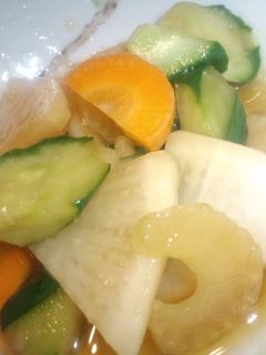 サ:セ:ス=1:2:3の野菜即席漬け-レシピのメイン写真