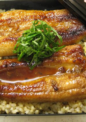 旧江戸川の天然ウナギのかば焼き-レシピのメイン写真