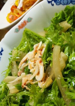 簡単わさび菜と大根和え-レシピのメイン写真