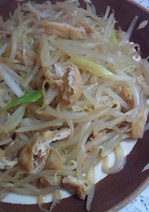 超節約おかず！もやしと油揚げ炒め-レシピのメイン写真