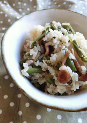 しっかり味の　山菜炊き込みご飯*-レシピのメイン写真