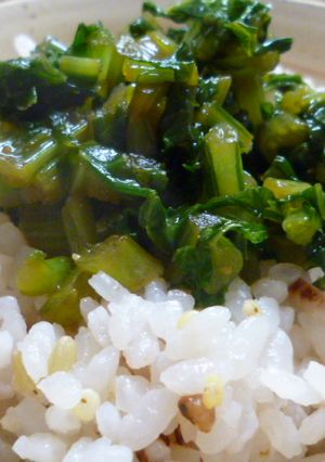 超簡単★ご飯がススム！かぶの葉炒め-レシピのメイン写真
