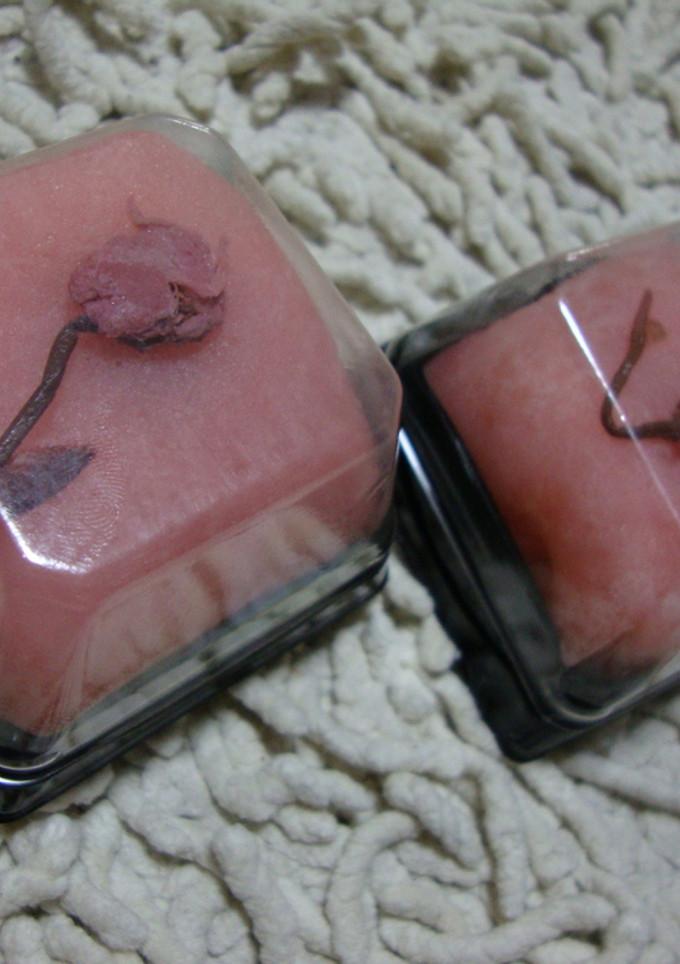 白玉粉で簡単桜もち-レシピのメイン写真