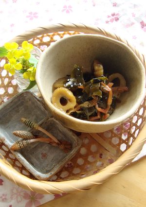 つくしと仲間達の煮物　花粉対策にも-レシピのメイン写真