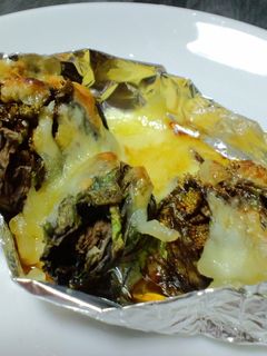 ふきのとうのチーズ焼き-レシピのメイン写真