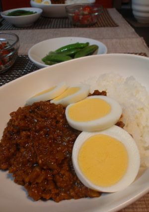 具二つだけ♪ケチャップたっぷり甘辛カレー-レシピのメイン写真