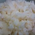 色々な料理に活用出来る 新玉ねぎご飯
