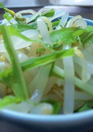 もやしのナムル-レシピのメイン写真