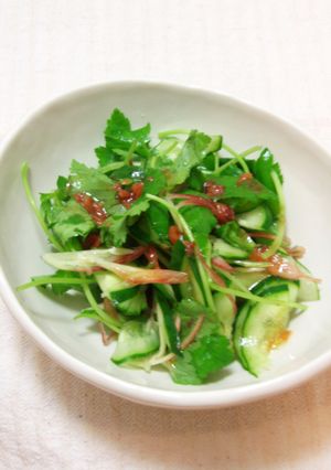 香り野菜の梅ドレサラダ-レシピのメイン写真