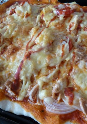 豪快　ｐｉｚａ-レシピのメイン写真