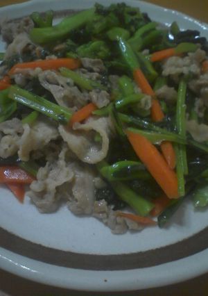かき菜と豚肉の炒め物-レシピのメイン写真