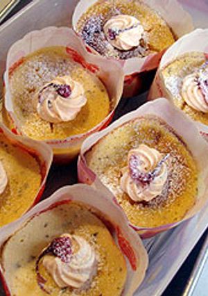 ヘルシーチーズケーキ-レシピのメイン写真